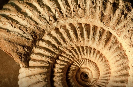 Claudine Gaunoux
© Domaine François Gaunoux