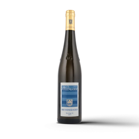 Weingut Wittmann Brunnenhäuschen GG Riesling 2017