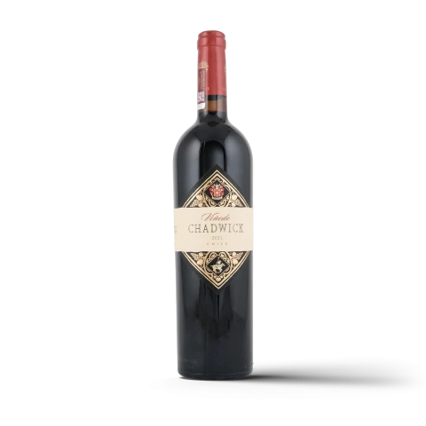 Vinedo Chadwick Cabernet Sauvignon Magnum 2021