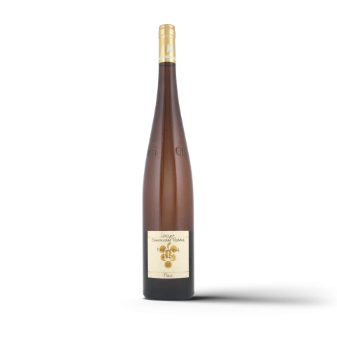 Ökonomierat Rebholz Kastanienbusch Riesling GG MGN  Pfalz 2023