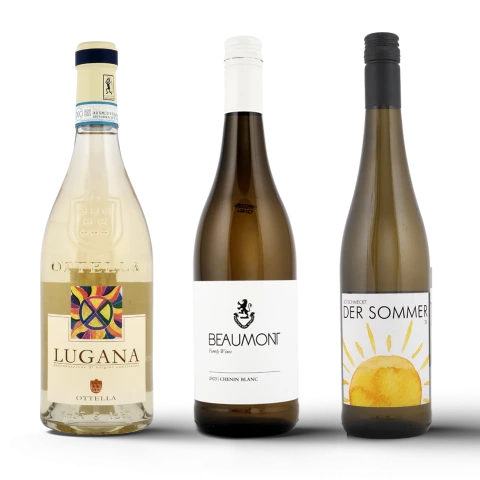 June package 2025: June comes with summer wines (6 bottles)