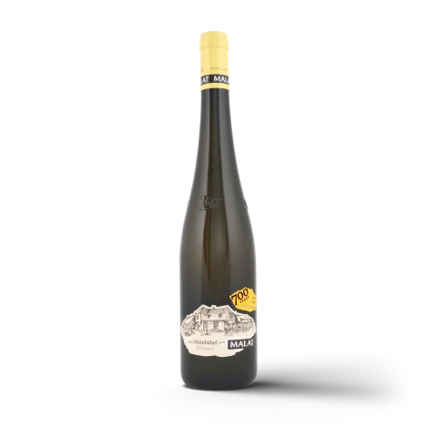 Winery Malat Steinbühel Riesling ÖTW Erste Lage Kremstal DAC 2022