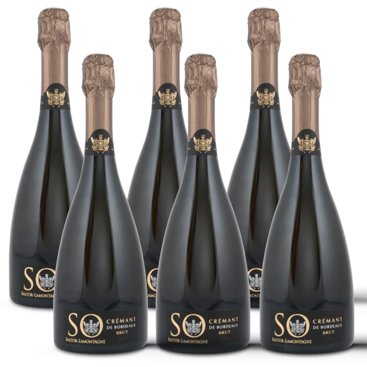 SO Crémant de Bordeaux Brut Bastor Lamontagne  Package 5 + 1 2021