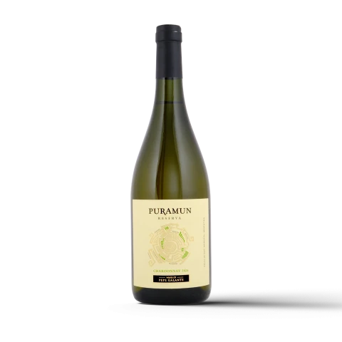 Bodegas Salentein Puramun Reserva Chardonnay 2024