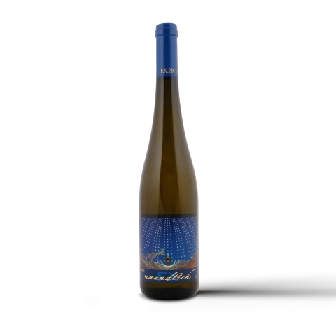 Weingut F. X. Pichler Unendlich Riesling Magnum 2023