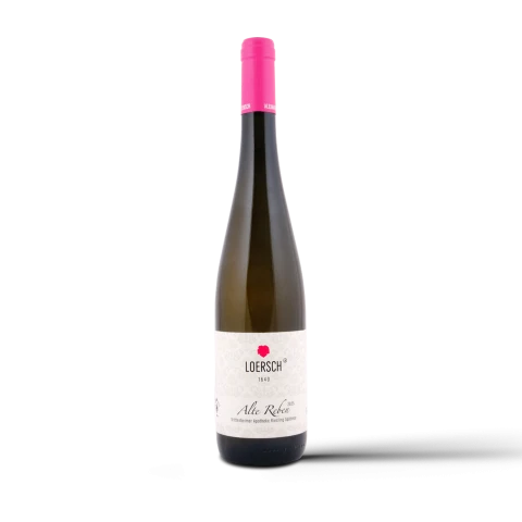 Weingut Loersch Trittenheimer Apotheke Riesling Alte Reben Spätlese 2025